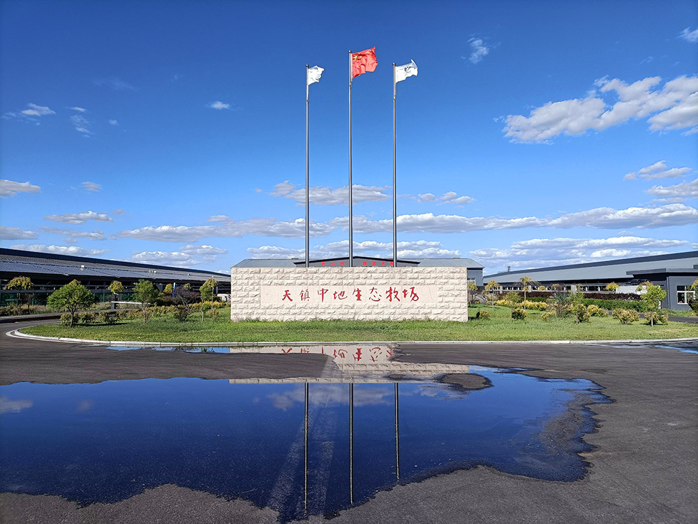 天镇中地生态牧场有限公司挤奶地基加固工程